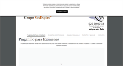 Desktop Screenshot of pinganilloparaexamenes.com