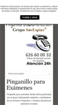 Mobile Screenshot of pinganilloparaexamenes.com